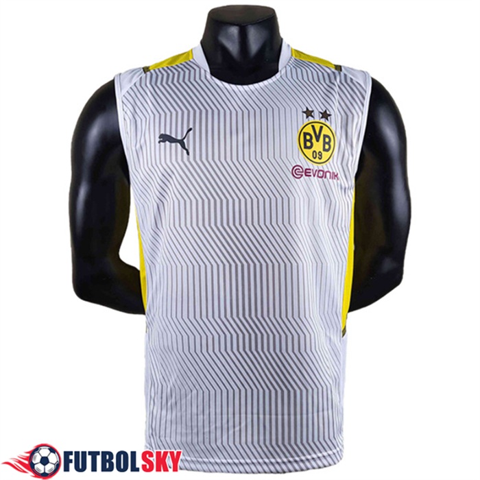 Camiseta Entrenamiento sin mangas Dortmund Gris 2022/2023