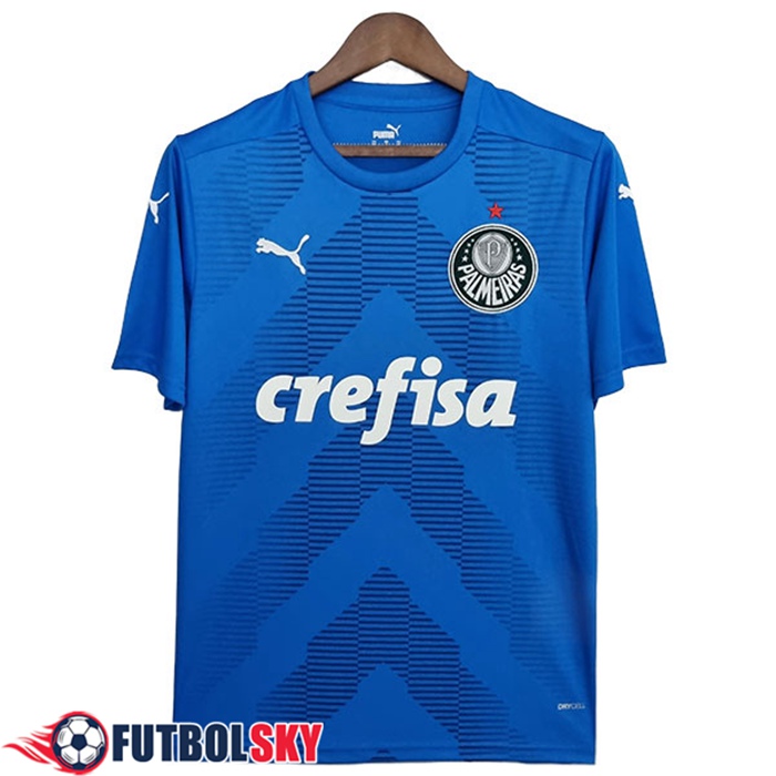 Camisetas De Futbol Palmeiras Portero Azul 2022/2023
