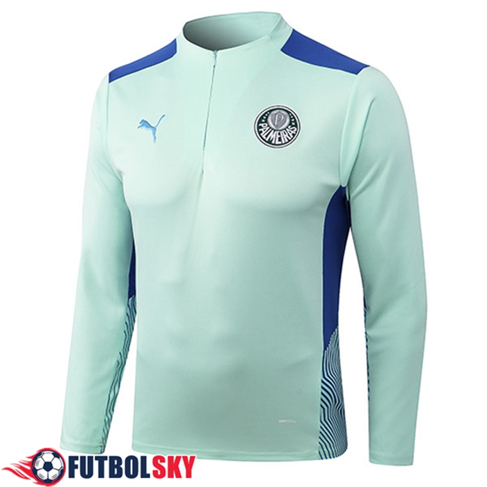 Sudadera De Entrenamiento Palmeiras Verde 2022/2023