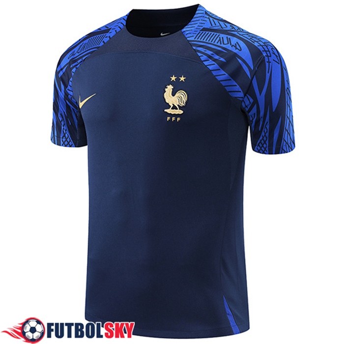 Camiseta Diseño Con Bandera De Guayana. 31756448 Vector En Vecteezy