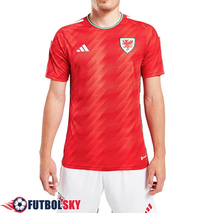 Nueva Camisetas De Futbol Gales Segunda Copa Del Mundo 2022