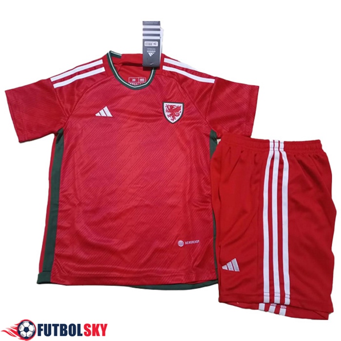Camisetas De Futbol Gales Ninos Primera Copa Del Mundo 2022
