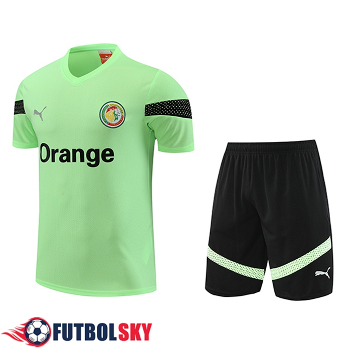 Camiseta Entrenamiento + Cortos Senegal Verde 2023/2024