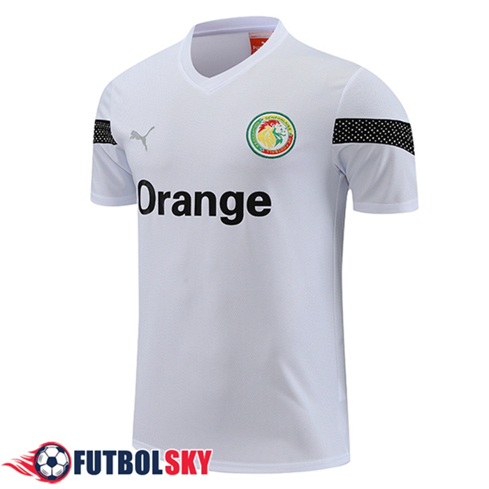 Training T-Shirts Senegal Blanco 2023/2024