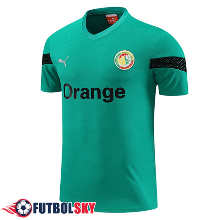 Training T-Shirts Senegal Verde 2023/2024