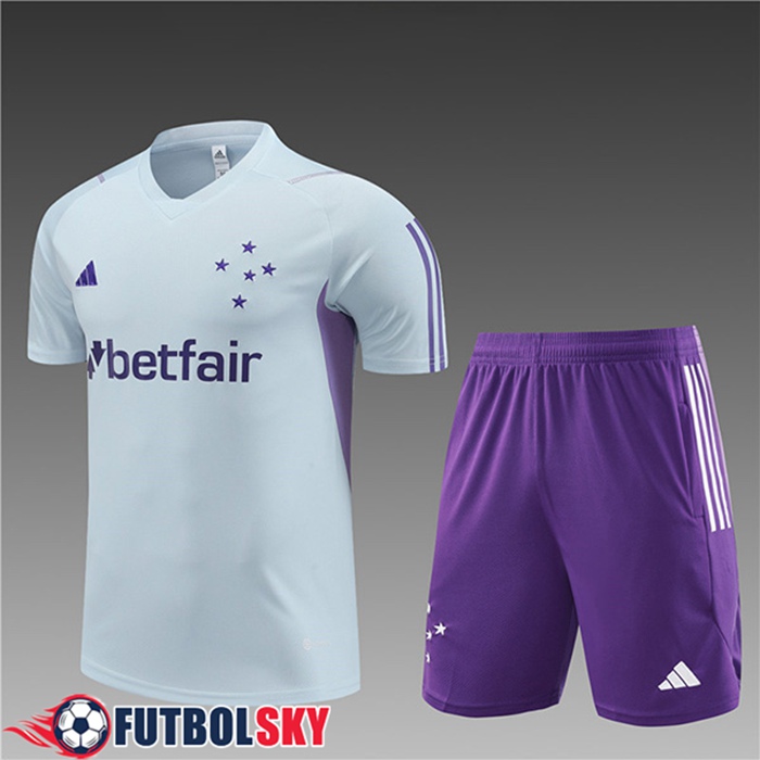 Camiseta Entrenamiento + Cortos Cruzeiro Ninos Gris Claro 2023/2024