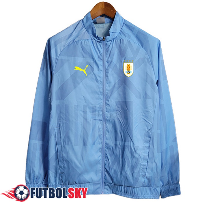 Rompevientos Benfica Azul Claro 2023/2024