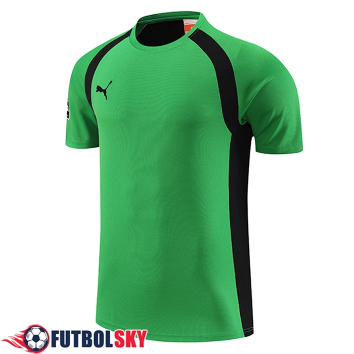 Camiseta Entrenamiento Puma Verde 2023/2024