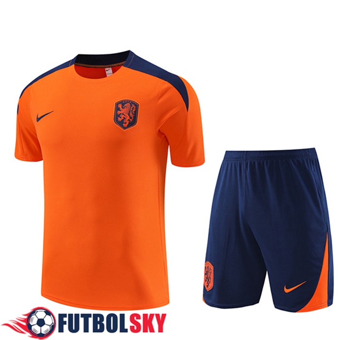 Camiseta Entrenamiento + Cortos Países Bajos Naranja 2023/2024