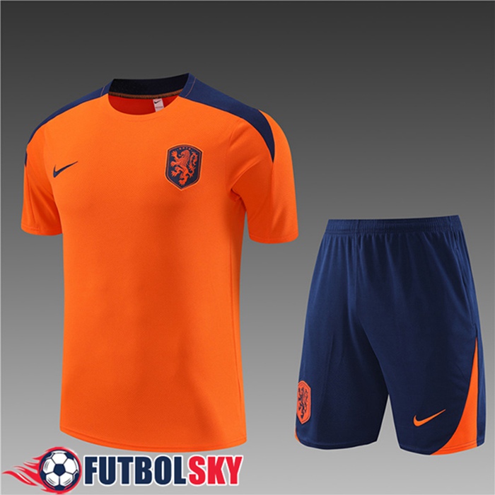 Camiseta Entrenamiento + Cortos Países Bajos Ninos Naranja 2023/2024