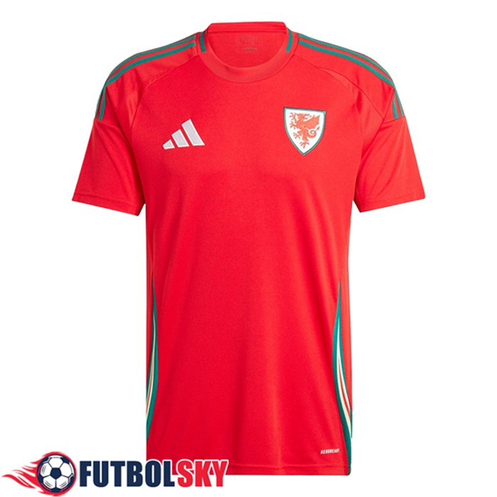Camiseta Nacional Gales Primera 2024/2025