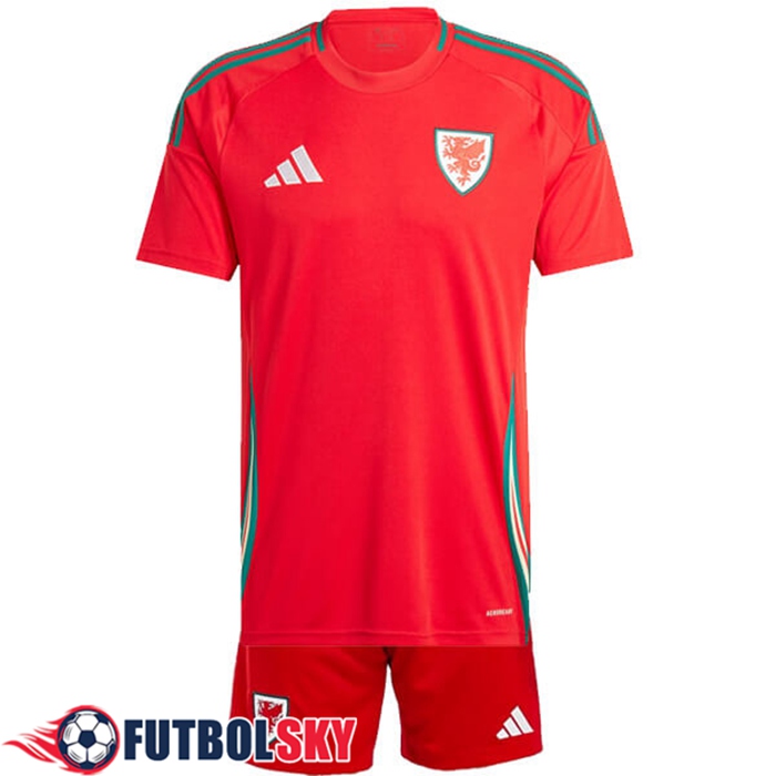 Camisetas De Futbol Gales Ninos Primera 2024/2025