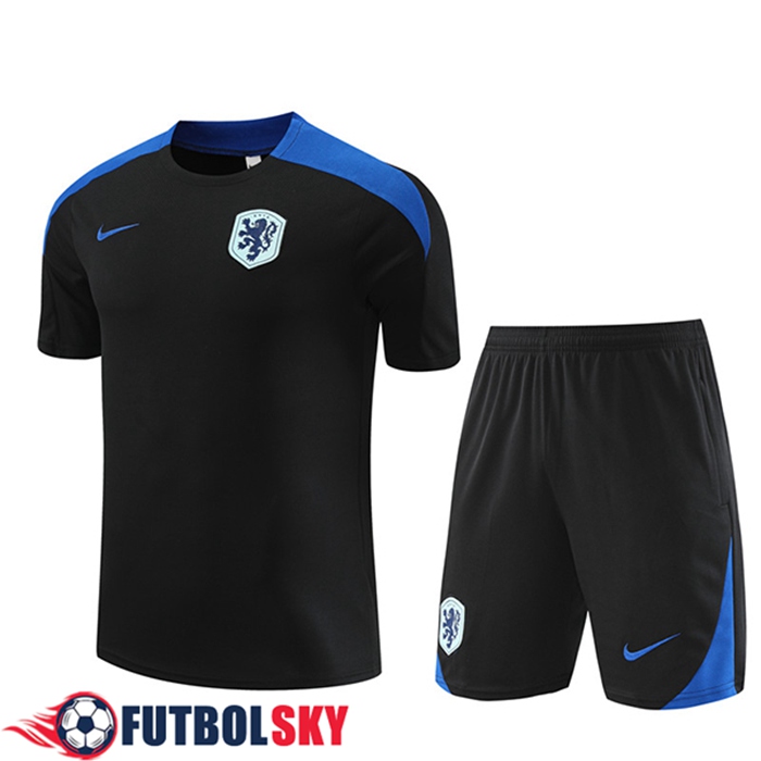 Camiseta Entrenamiento Países Bajos Negro/Azul 2024/2025