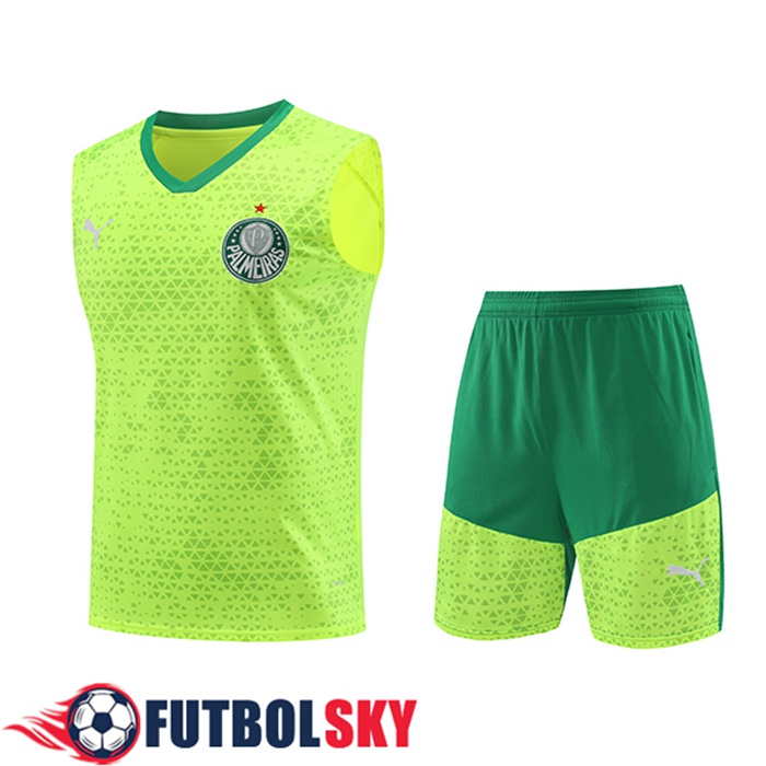 Camiseta Entrenamiento sin mangas Palmeiras Verde/Amarillo 2024/2025