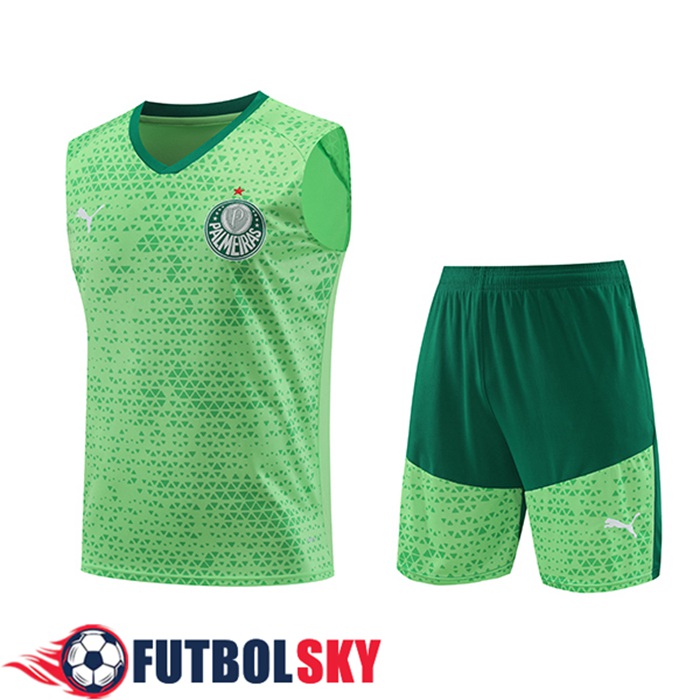 Camiseta Entrenamiento sin mangas Palmeiras Verde 2024/2025 -02