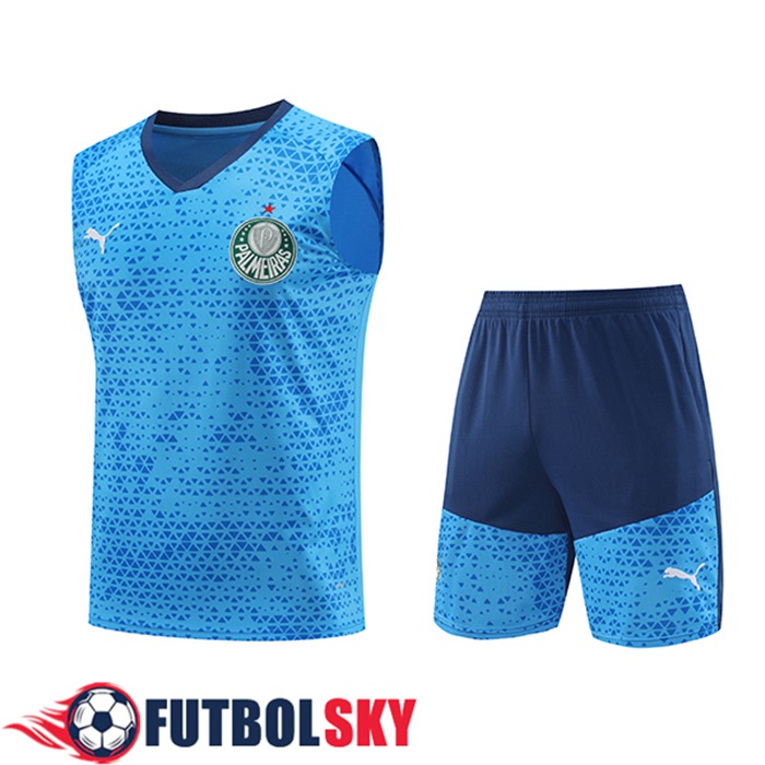 Camiseta Entrenamiento sin mangas Palmeiras Azul 2024/2025