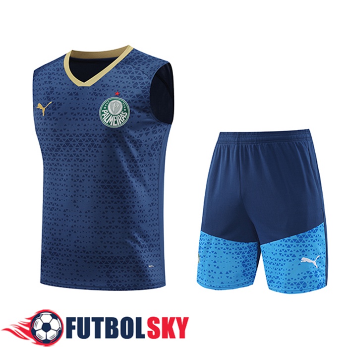 Camiseta Entrenamiento sin mangas Palmeiras Azul marino 2024/2025