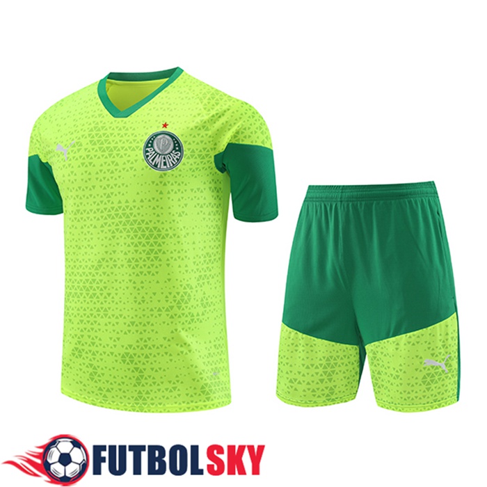 Camiseta Entrenamiento Palmeiras Verde/Amarillo 2024/2025