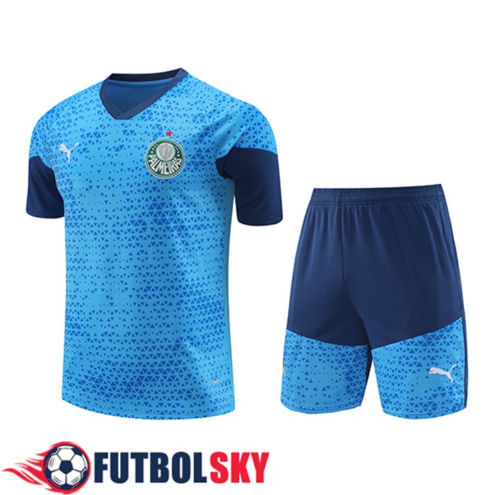 Camiseta Entrenamiento Palmeiras Azul 2024/2025
