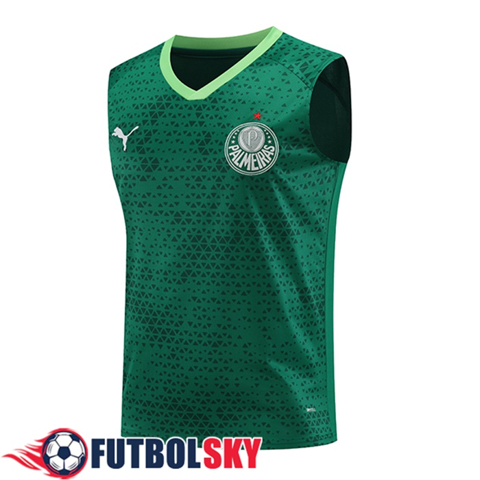 Chalecos De Futbol Palmeiras Verde 2024/2025