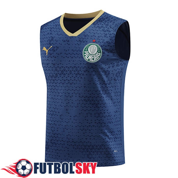 Chalecos De Futbol Palmeiras Azul marino 2024/2025
