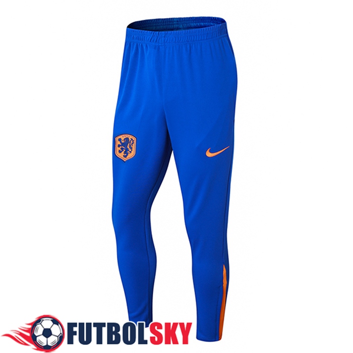 Pantalon Entrenamiento Países Bajos Naranja/Azul 2024/2025