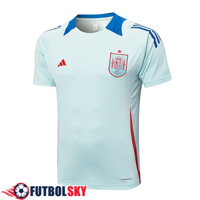 Camiseta Entrenamiento España Azul Claro 2024/2025