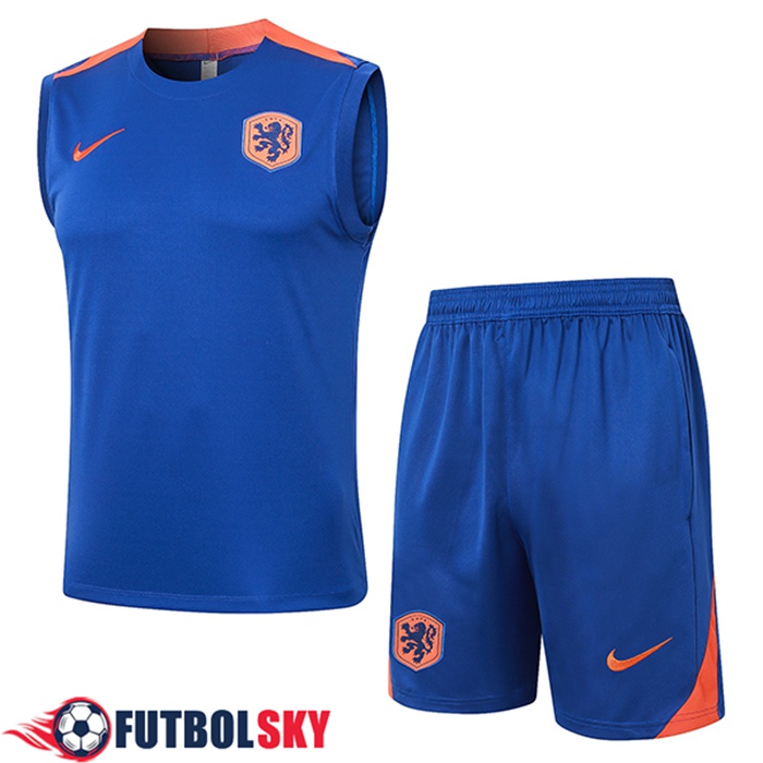 Camiseta Entrenamiento sin mangas Países Bajos Azul/Naranja 2024/2025