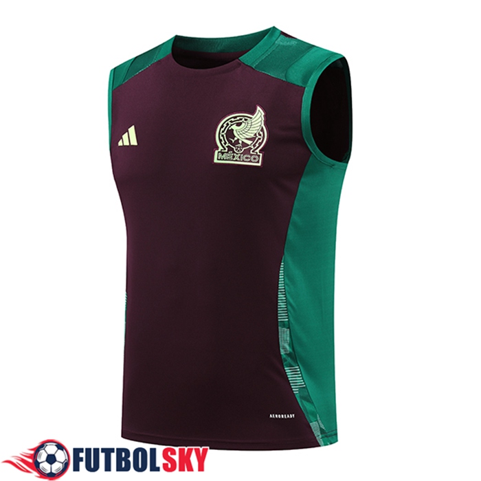 Chalecos De Futbol México Verde/Marrón 2024/2025