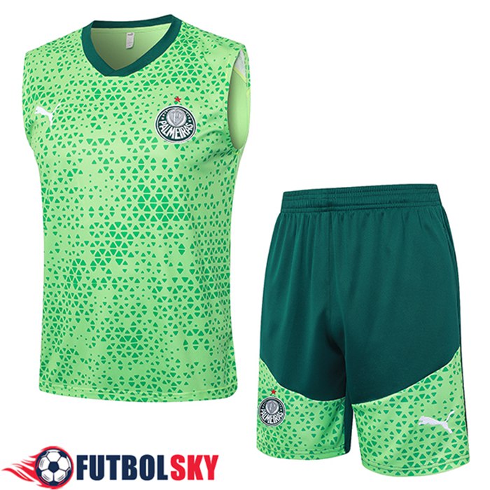 Camiseta Entrenamiento sin mangas Palmeiras Verde 2024/2025 -03