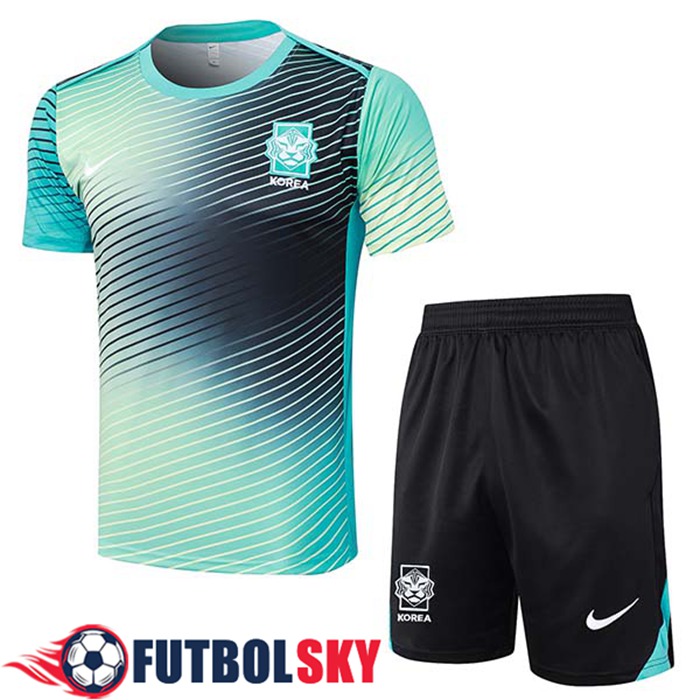 Camiseta Entrenamiento Corea Del Sur Verde/ 2024/2025