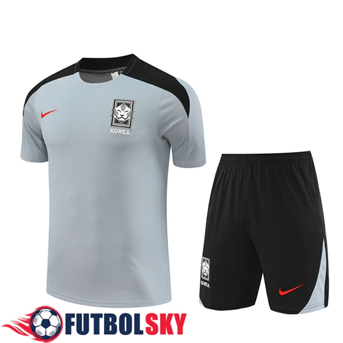 Camiseta Entrenamiento Corea Del Sur Gris/Negro 2024/2025