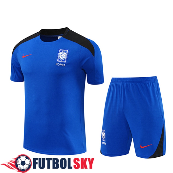 Camiseta Entrenamiento Corea Del Sur Azul/Negro 2024/2025