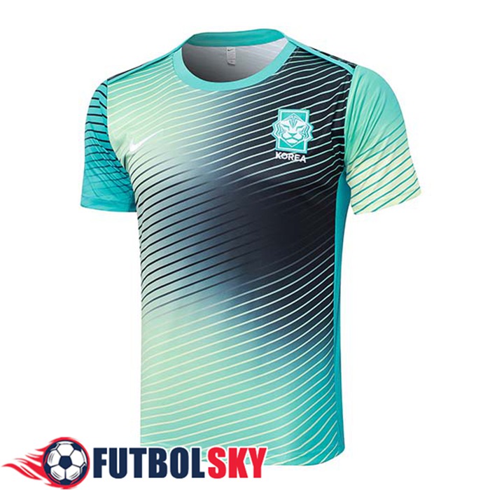 Camiseta Entrenamiento Corea Del Sur Verde/ 2024/2025