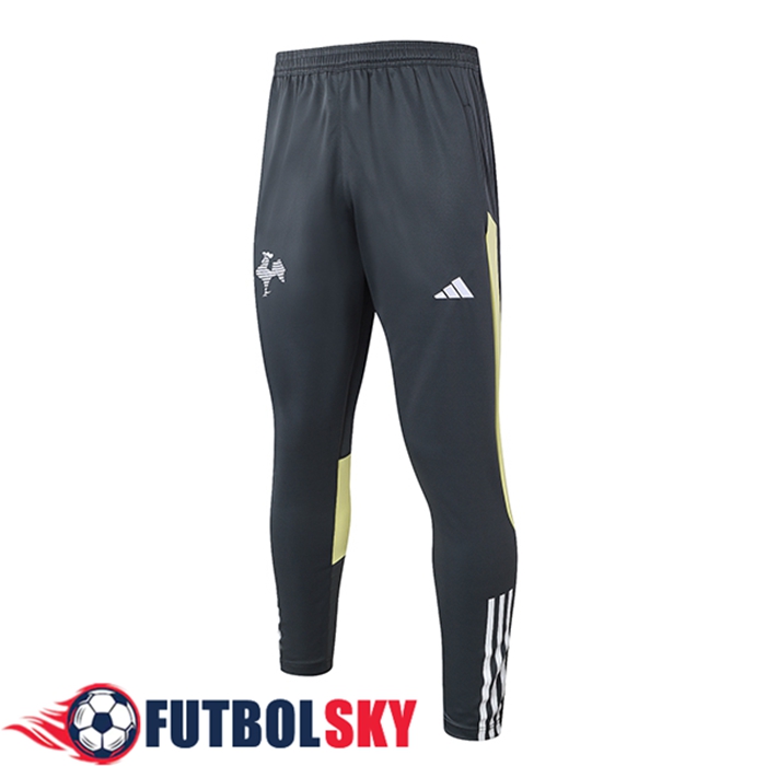 Pantalon Entrenamiento Atletico Mineiro Gris/Amarillo 2024/2025