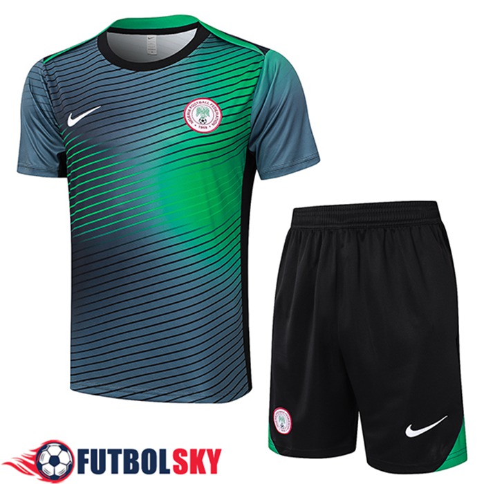 Camiseta Entrenamiento Nigeria Gris/Verde 2024/2025