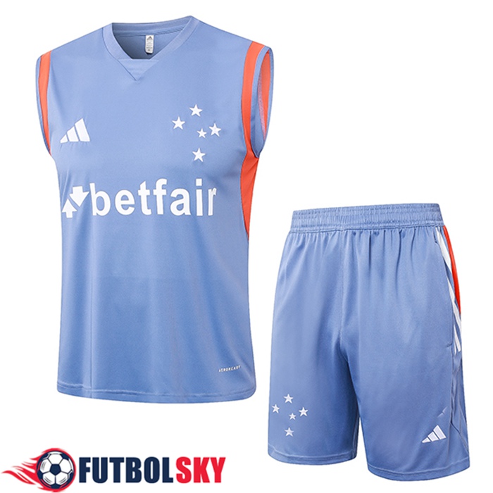 Camiseta Entrenamiento sin mangas Cruzeiro Gris/Naranja 2024/2025