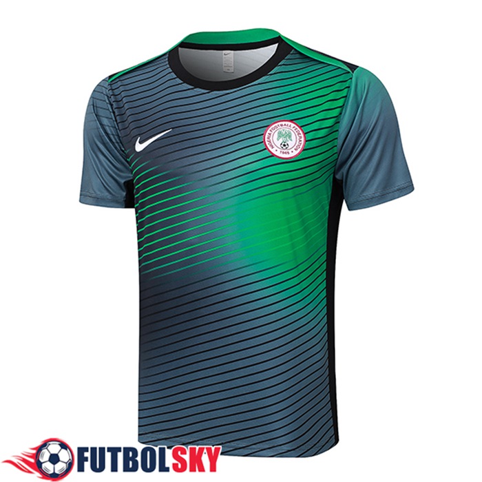 Camiseta Entrenamiento Nigeria Gris/Verde 2024/2025