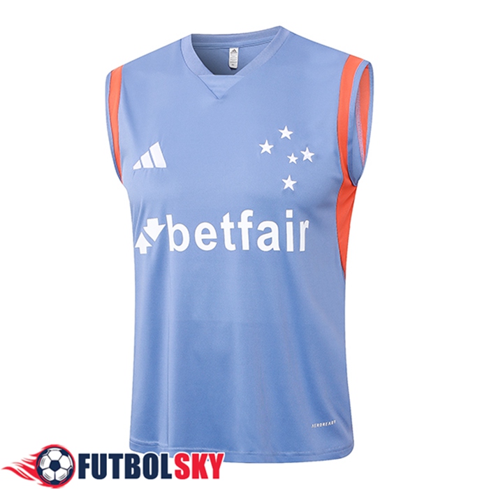 Chalecos De Futbol Cruzeiro Gris/Naranja 2024/2025