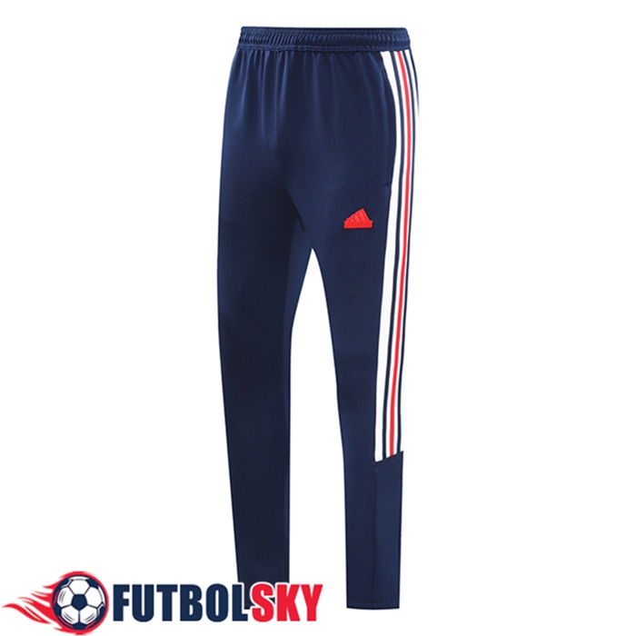 Pantalon Entrenamiento Adidas azul real 2024/2025