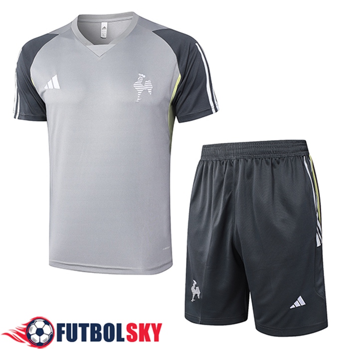 Camiseta Entrenamiento Atletico Mineiro Gris 2024/2025