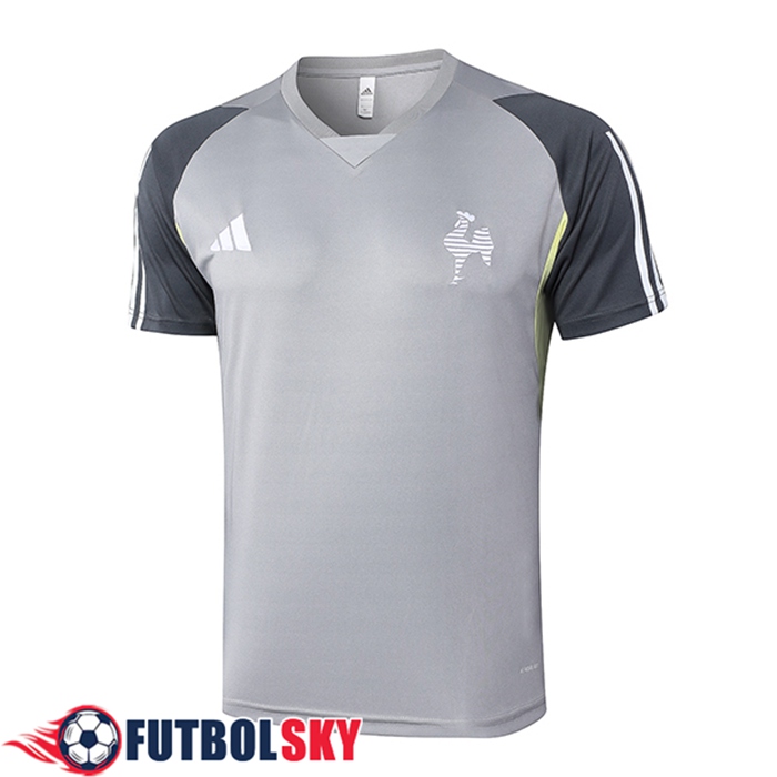 Camiseta Entrenamiento Atletico Mineiro Gris 2024/2025