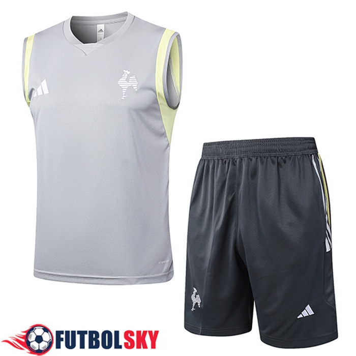 Camiseta Entrenamiento sin mangas Atletico Mineir Gris Claro 2024/2025