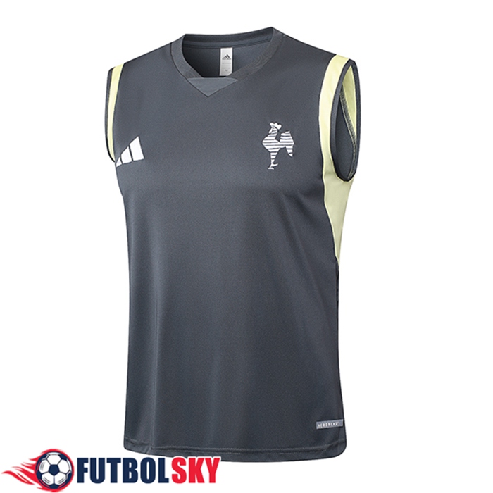 Chalecos De Futbol Atletico Mineir Gris Oscuro 2024/2025