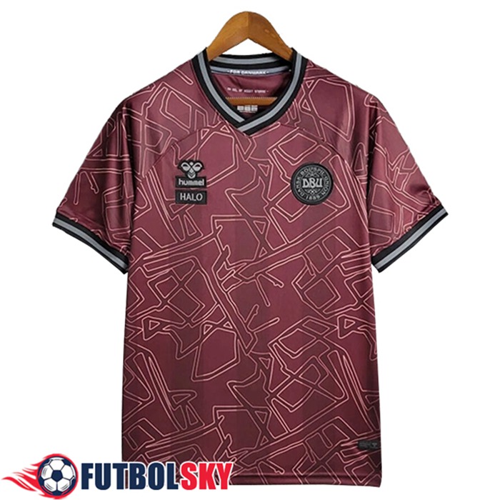 Camiseta Equipo Nacional Dinamarca Special Edition Rojo Foncé 2024/2025