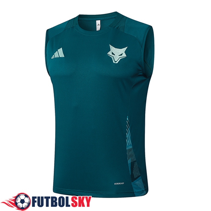 Chalecos De Futbol Cruzeiro Verde 2025/2026