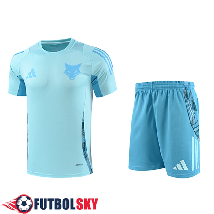 Camiseta Entrenamiento Cruzeiro Azul Claro 2025/2026