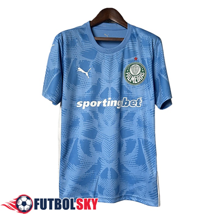Camisetas De Futbol Palmeiras Portero Azul 2025/2026