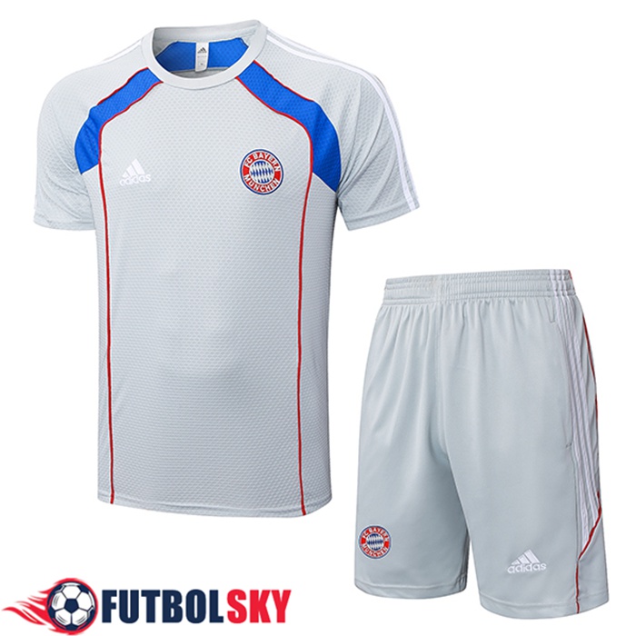Camiseta Entrenamiento Bayern Munich Gris/Rojo/Azul 2025/2026