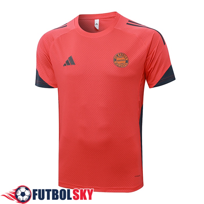 Camiseta Entrenamiento Bayern Munich Gris/Naranja 2025/2026